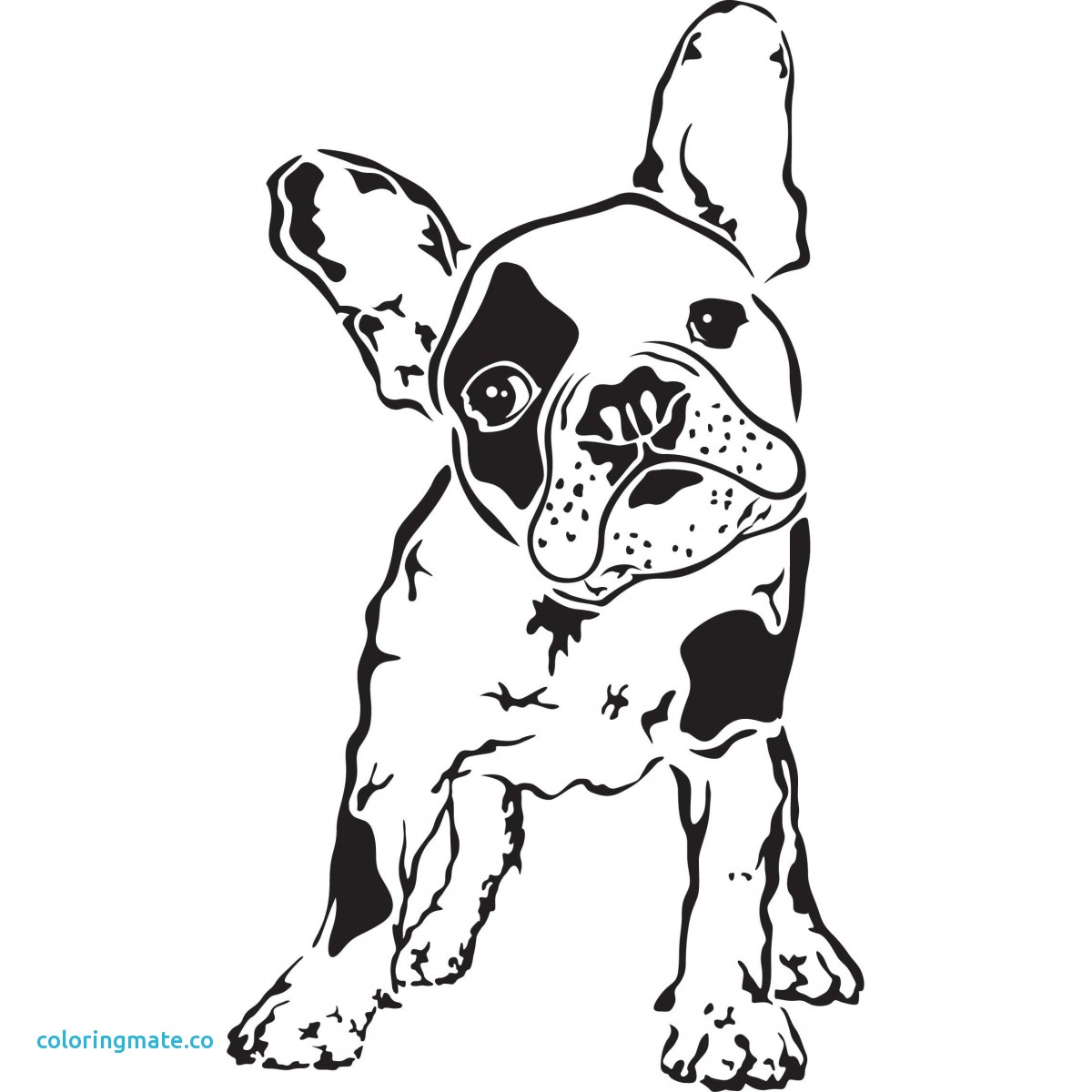 French Bulldog Coloring Pages At GetColorings Free Printable 