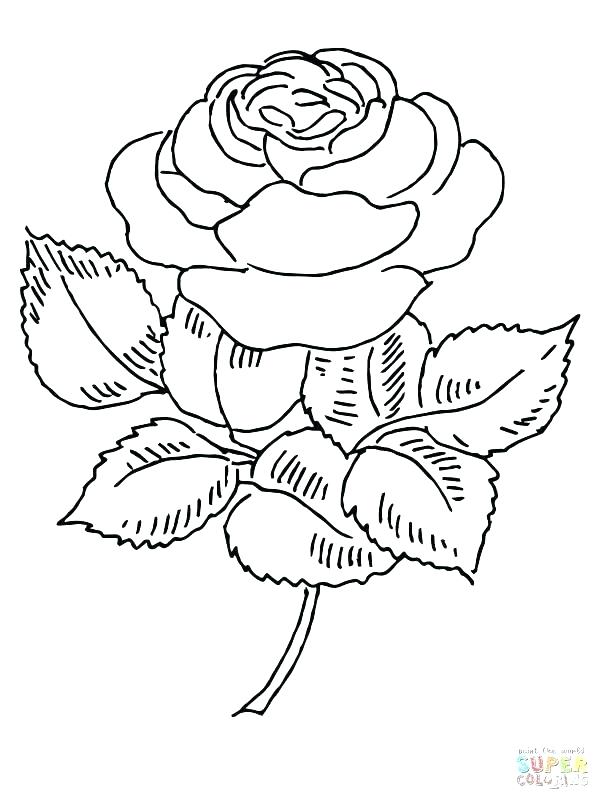 French Fries Coloring Pages at GetColorings.com | Free printable