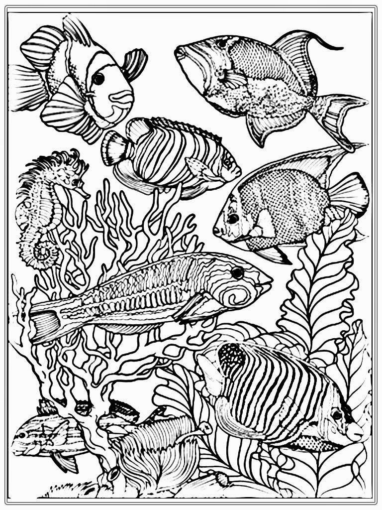 Freshwater Fish Coloring Pages At GetColorings Free Printable 