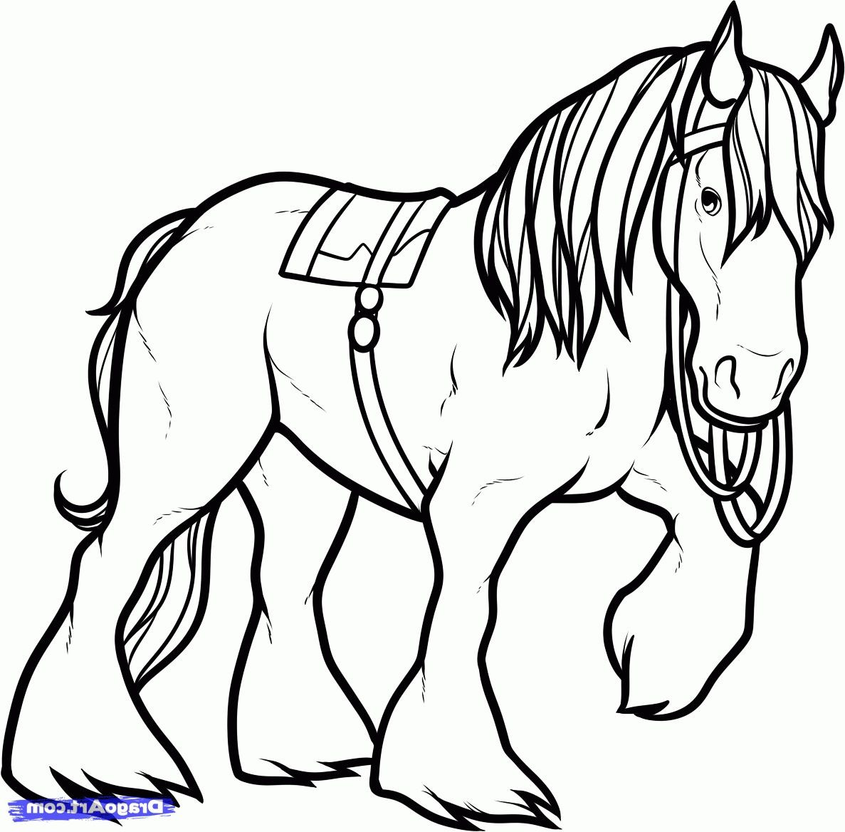 Friesian Horse Coloring Pages at GetColorings.com | Free printable