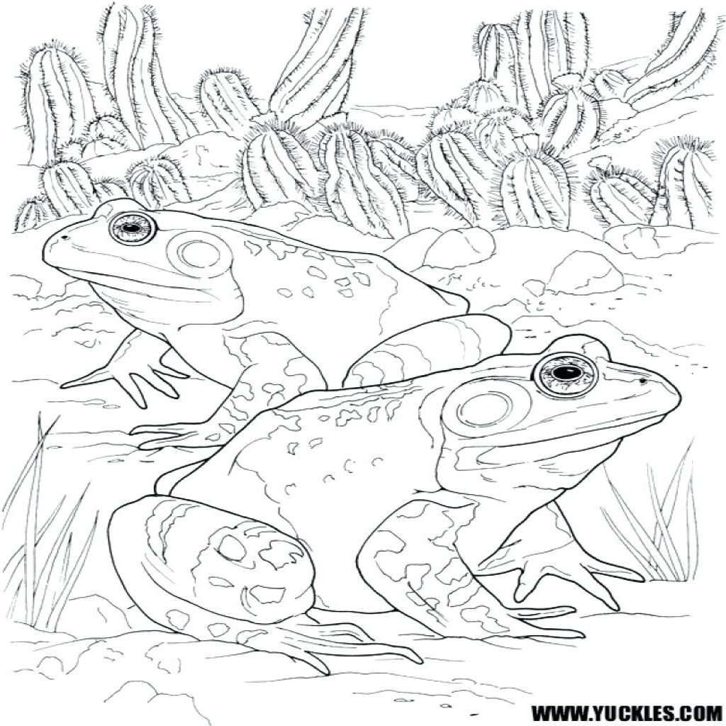 Frog And Toad Coloring Pages at Free printable