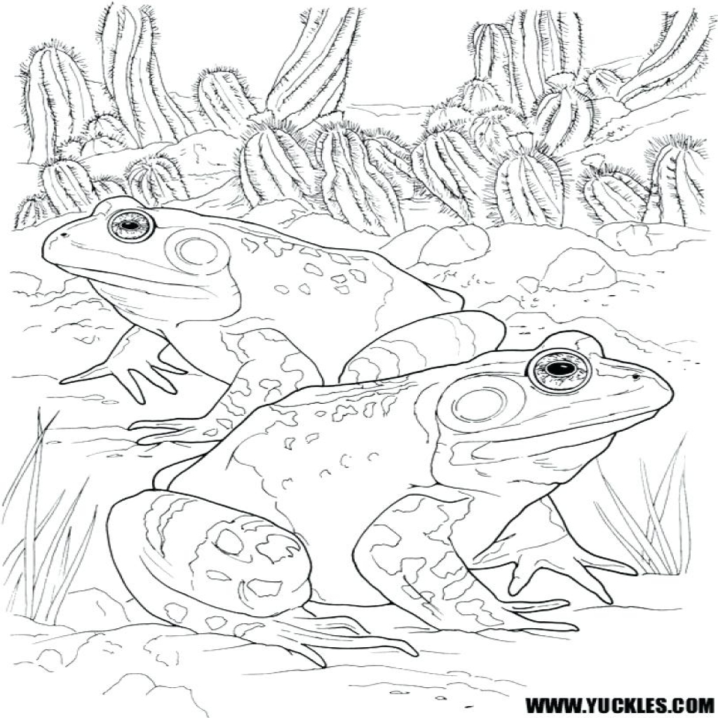 Free Frog And Toad Are Friends Printables Free Templates Printable