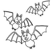 Coloring Page Of A Fruit Bat : Printable Bat Eating Fruit Coloring Page