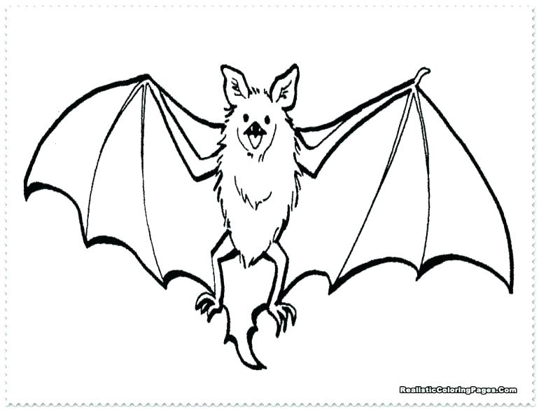 Fruit Bat Coloring Page at GetColorings.com | Free printable colorings