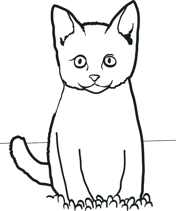 funny-cat-coloring-pages-at-getcolorings-free-printable-colorings