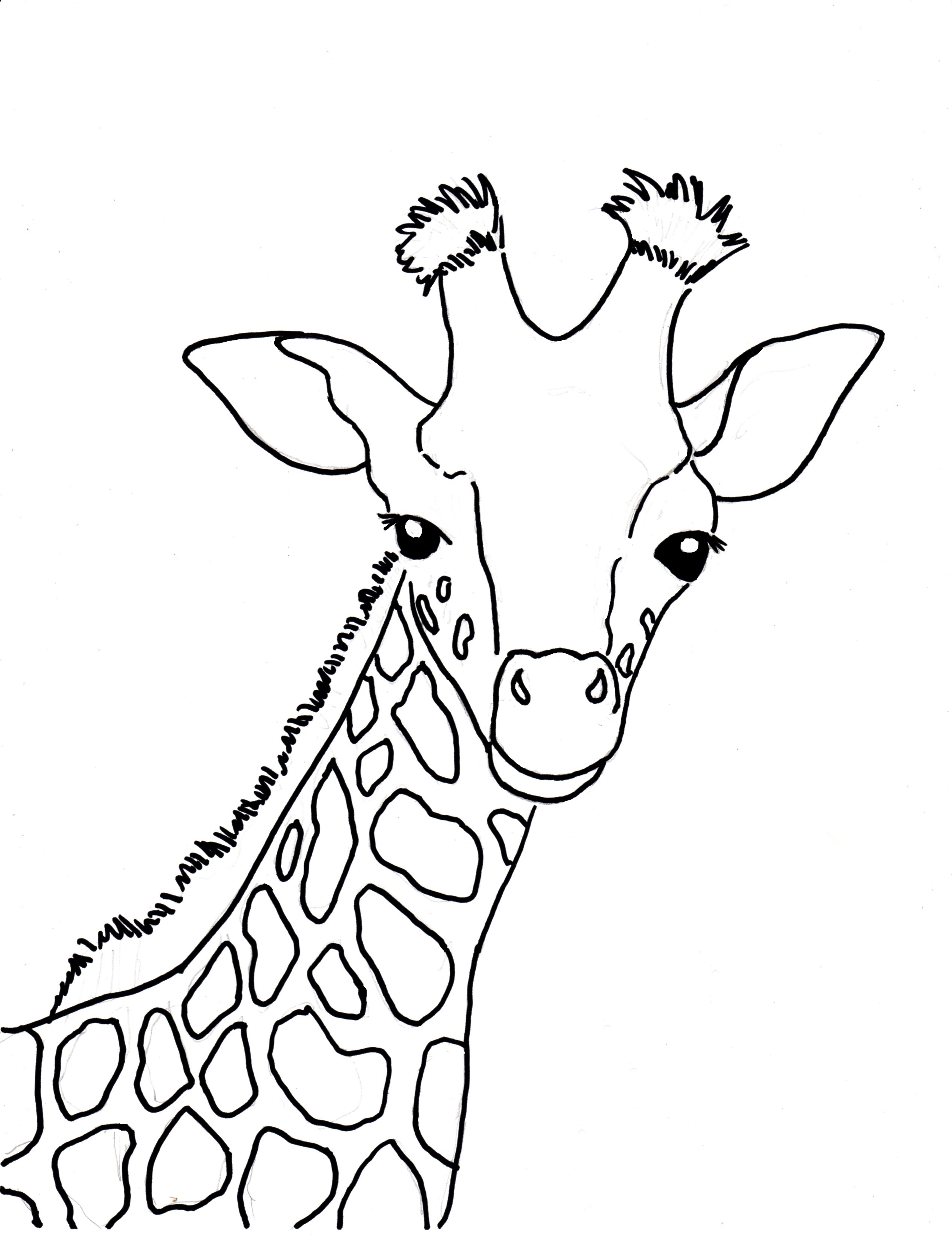 Funny Giraffe Coloring Pages At Getcolorings.com | Free Printable