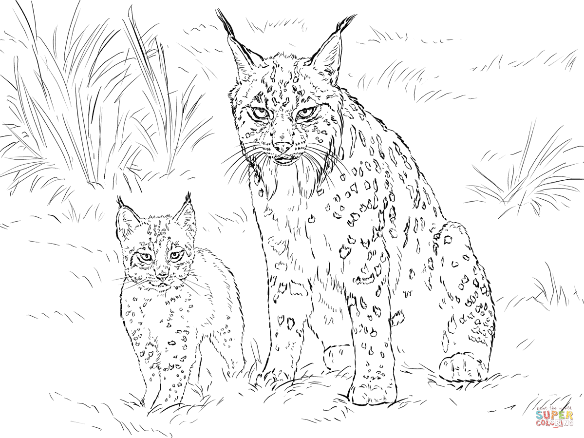 Furry Coloring Pages at GetColorings.com | Free printable colorings