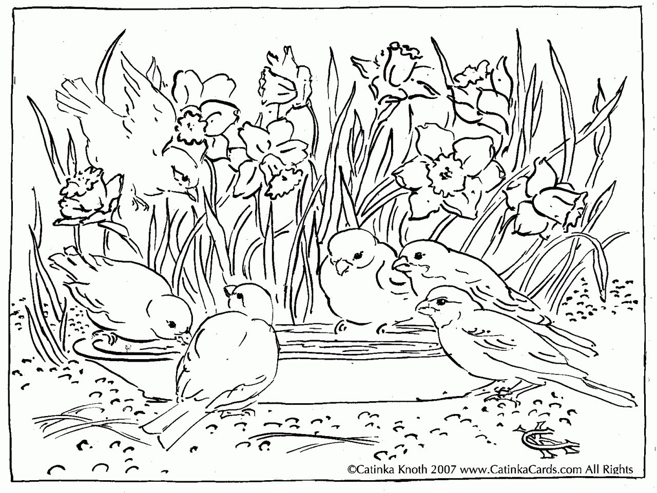 Garden Coloring Pages For Adults at GetColorings.com ...