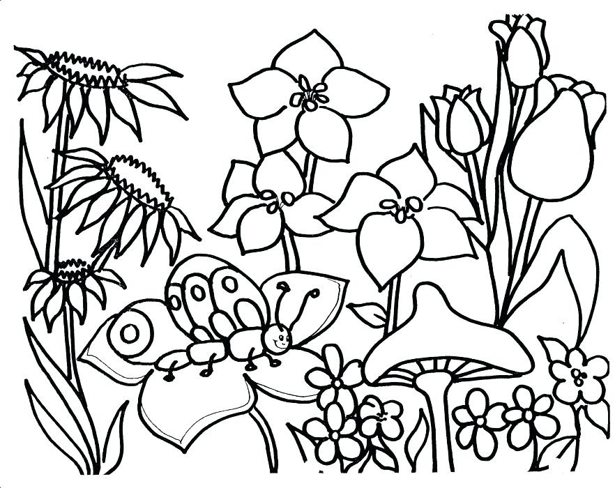 Garden Coloring Pages For Adults at GetColorings.com | Free printable ...