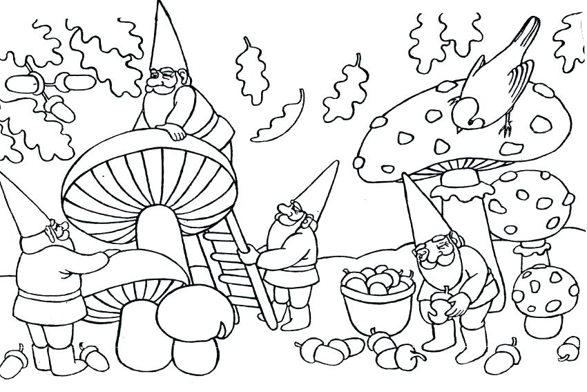 Garden Gnome Coloring Pages at GetColorings.com | Free printable