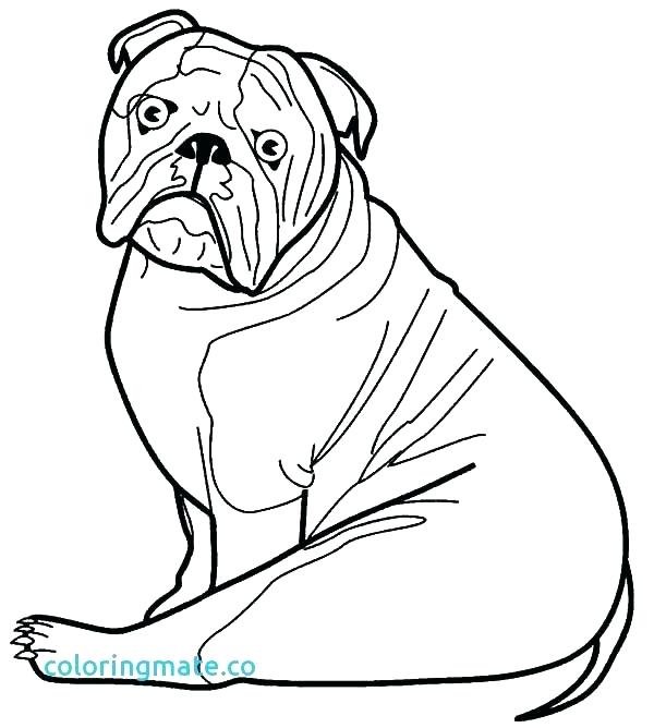 Bulldogs Coloring Pages at Free printable