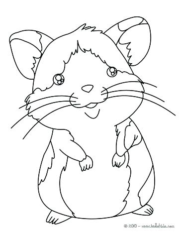 Gerbil Coloring Pages At GetColorings Free Printable Colorings