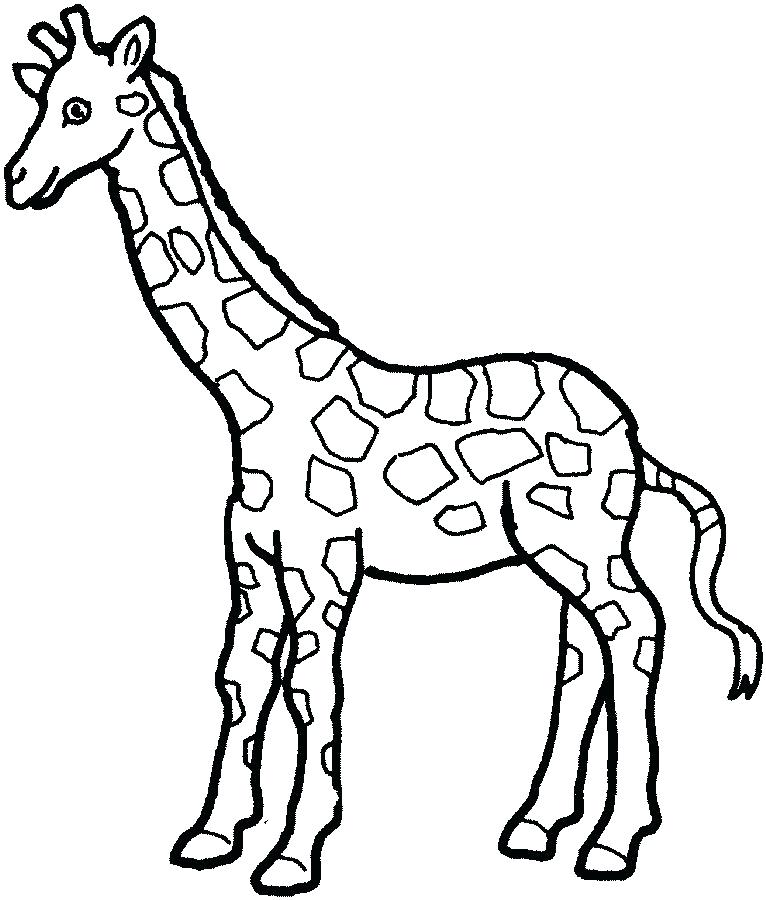Giraffe Coloring Pages For Adults at GetColorings.com | Free printable