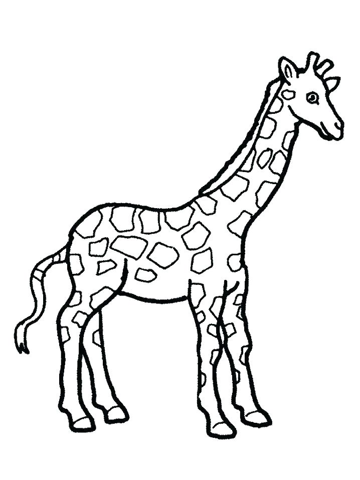 Giraffe Face Coloring Pages at GetColorings.com | Free printable