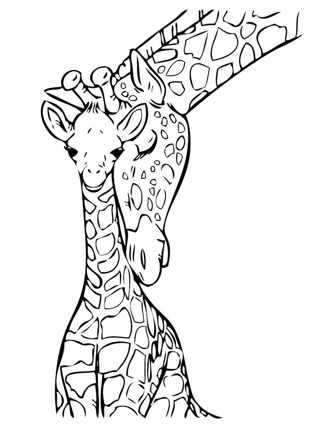 Giraffe Face Coloring Pages at GetColorings.com | Free ... - photo#24