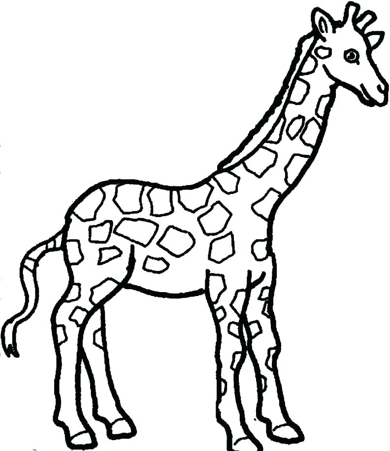 Giraffe Head Coloring Page at Free printable