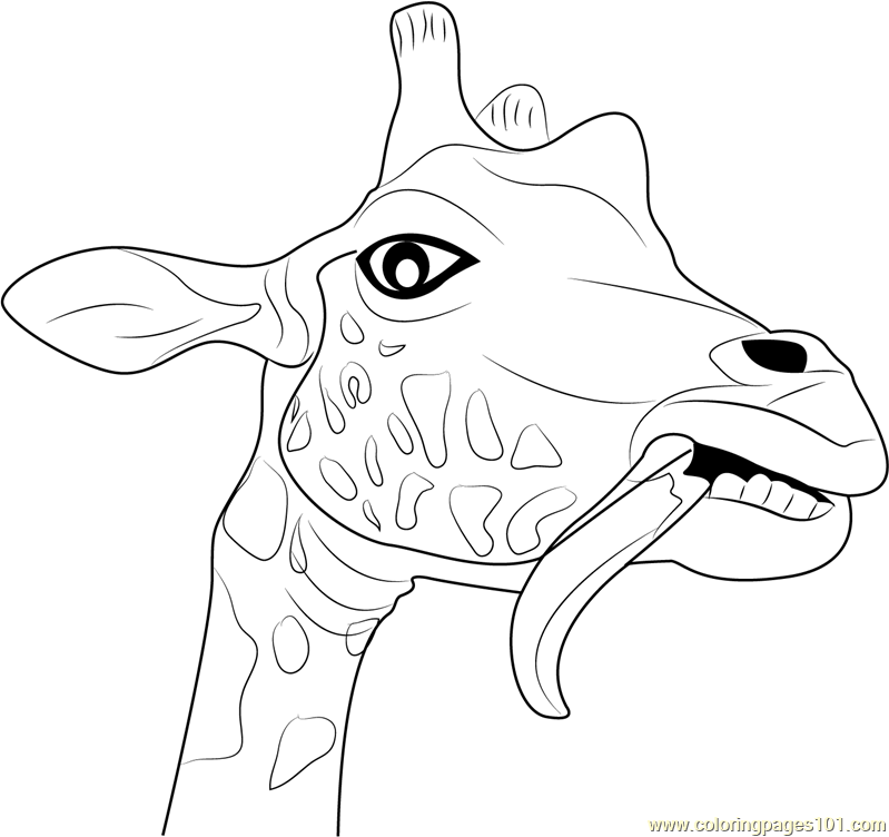 Giraffe Head Coloring Page at GetColorings.com | Free ...