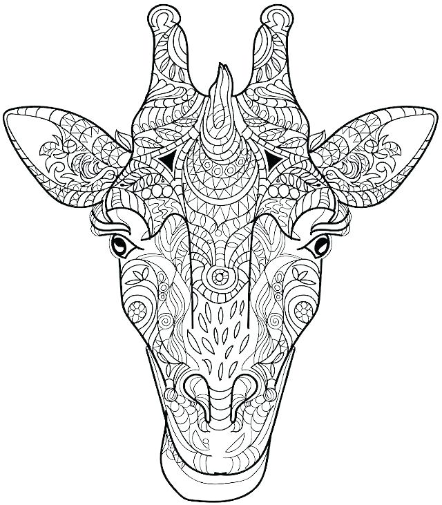 Giraffe Head Coloring Page at GetColorings.com | Free printable