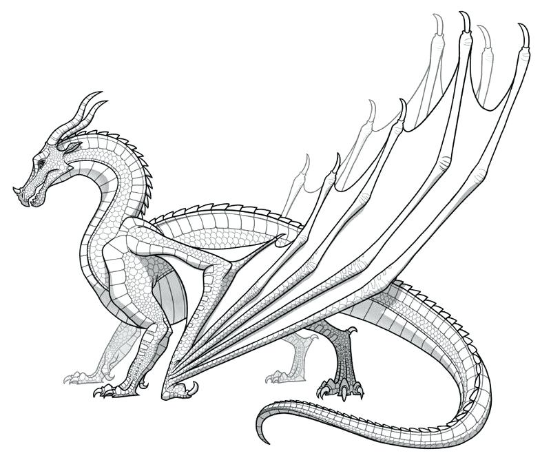 Girl Dragon Coloring Pages at GetColorings.com | Free printable