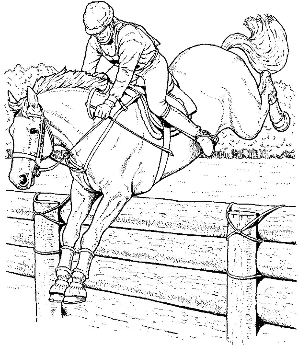 Girl Riding Horse Coloring Pages At GetColorings Free Printable 