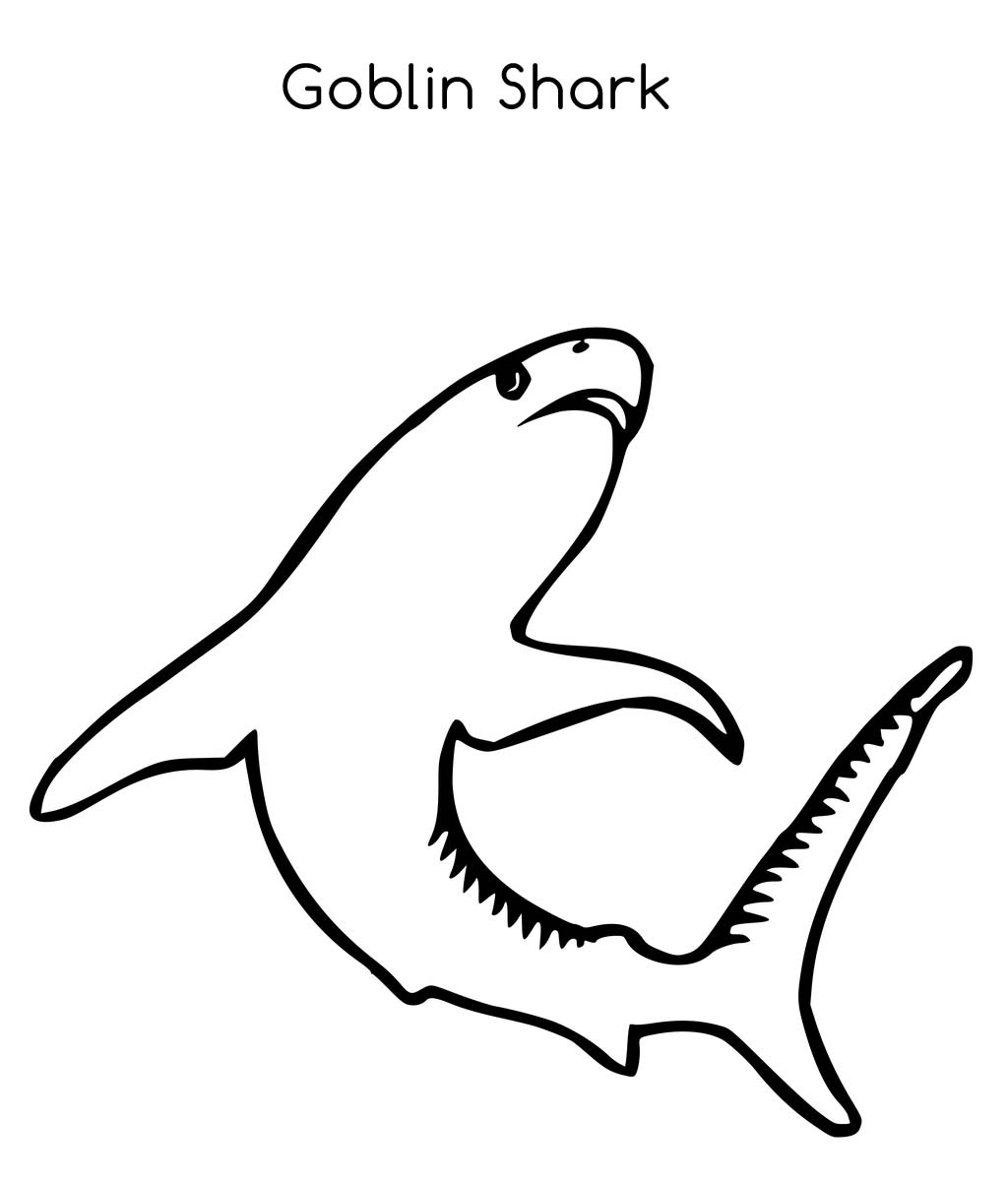 Goblin Shark Coloring Pages at GetColoringscom Free