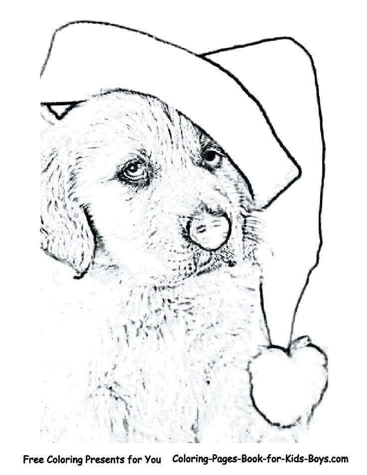 Golden Retriever Coloring Page at GetColorings.com | Free printable