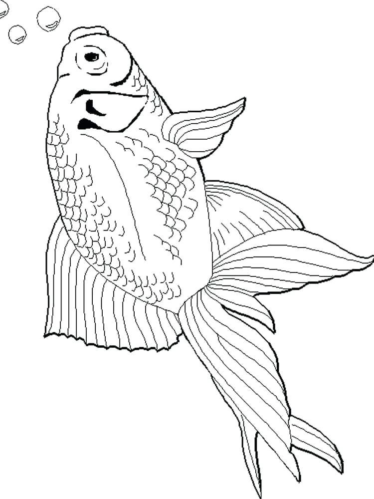 goldfish-coloring-page