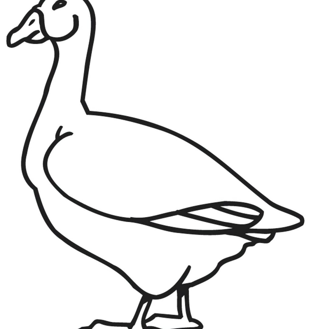 goose-coloring-page-at-getcolorings-free-printable-colorings