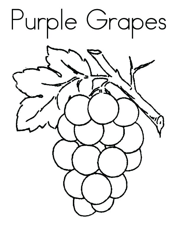 Grape Vine Coloring Page at GetColorings.com | Free ...