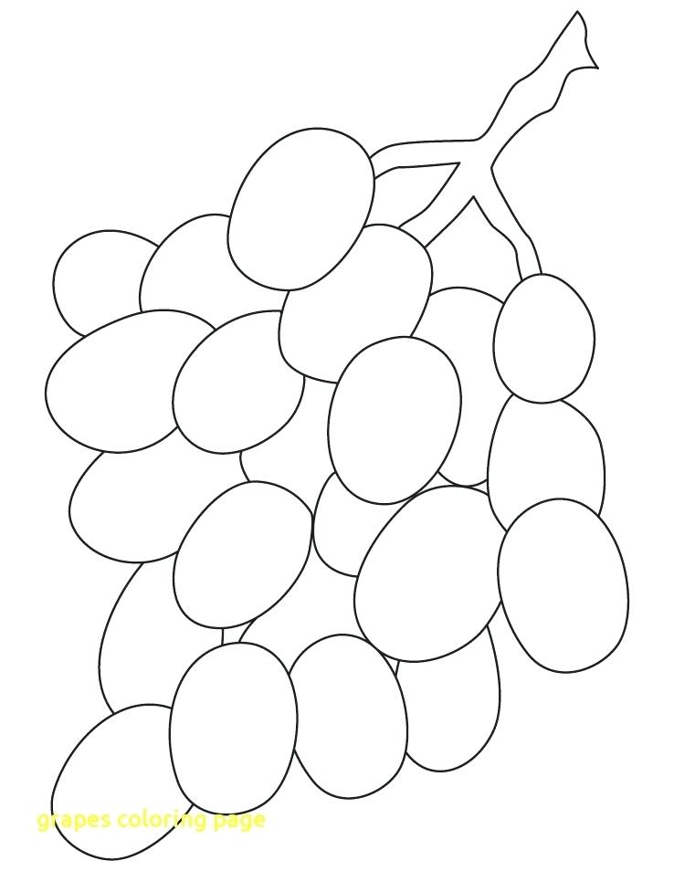Grapes Coloring Page At GetColorings Free Printable Colorings 