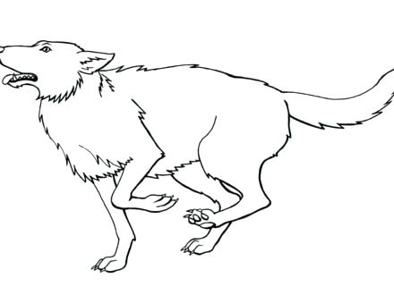 Gray Wolf Coloring Page At Getcolorings Free Printable Colorings