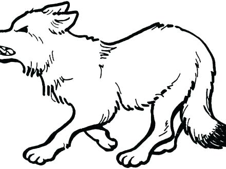 Gray Wolf Coloring Page At Getcolorings Free Printable Colorings