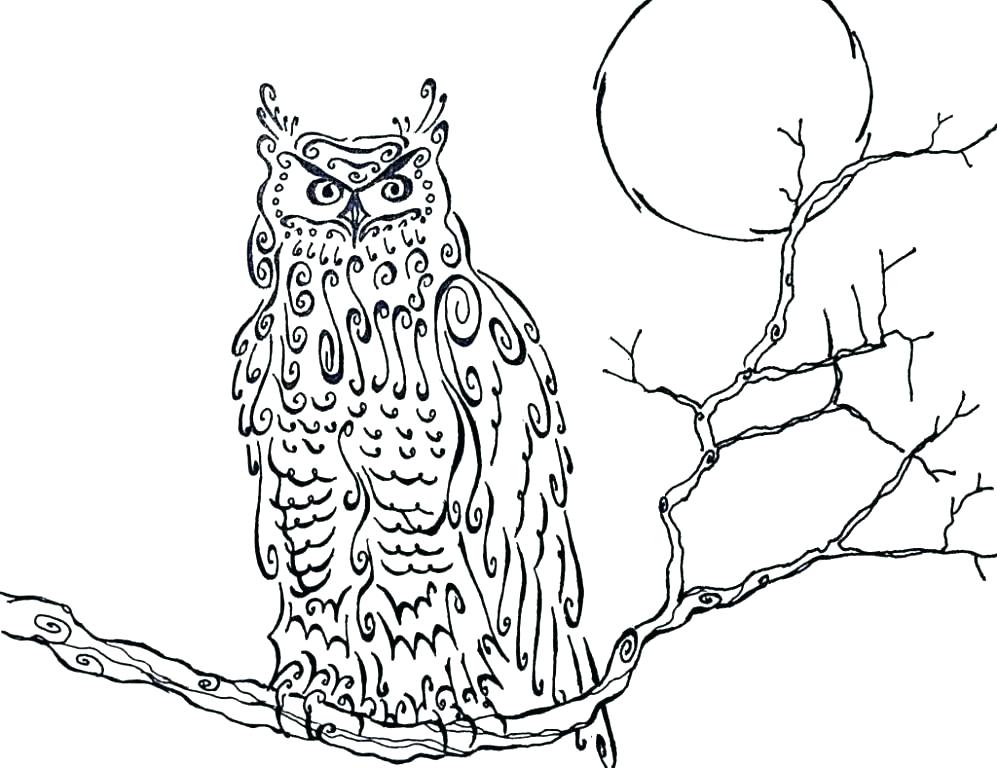 Great Horned Owl Coloring Page at GetColorings.com | Free printable