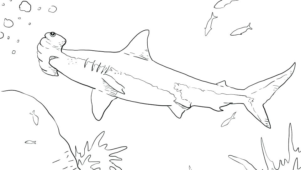 Alphabet A B C: Great White Shark Coloring Pages Free : Great White