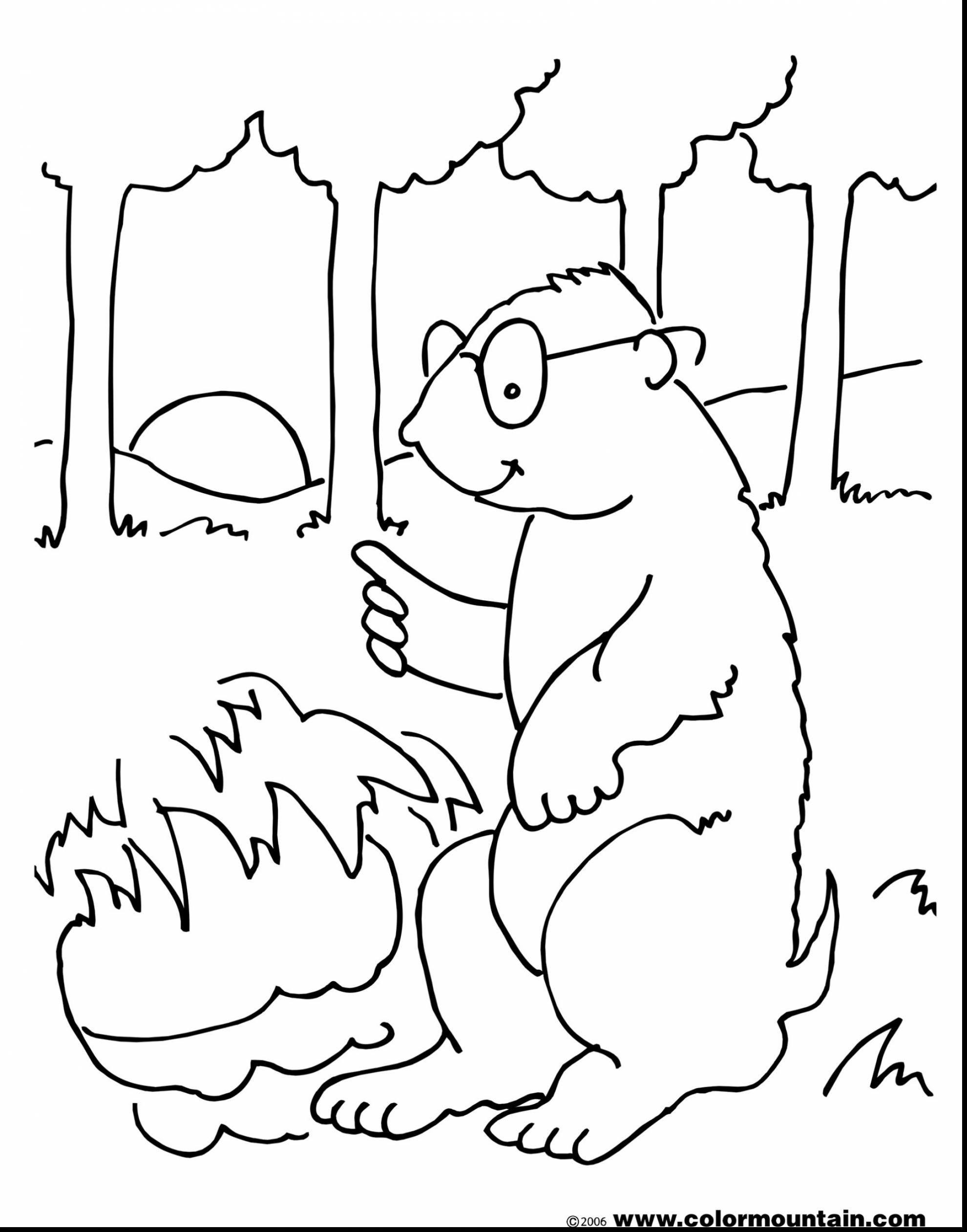 Groundhog Day Coloring Pages at Free printable