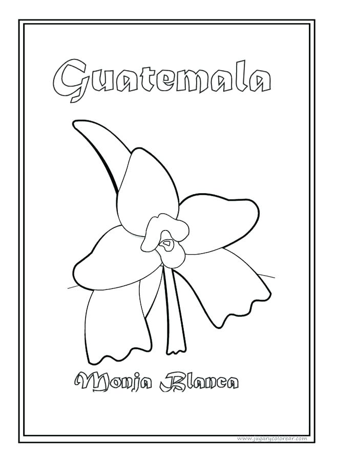 Guatemala Coloring Pages at GetColoringscom Free