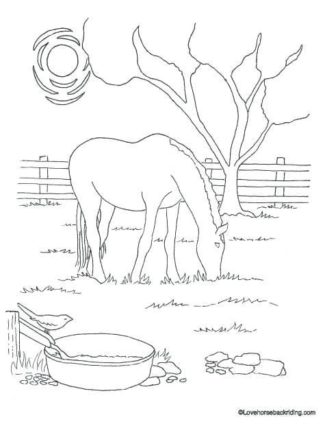 Halloween Horse Coloring Pages at GetColorings.com | Free printable