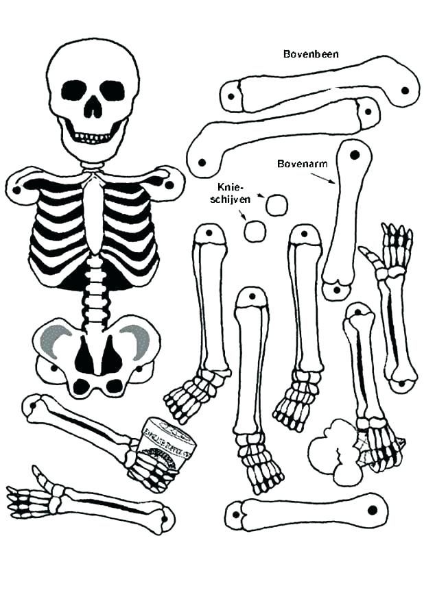 halloween-skeleton-coloring-pages-at-getcolorings-free-printable