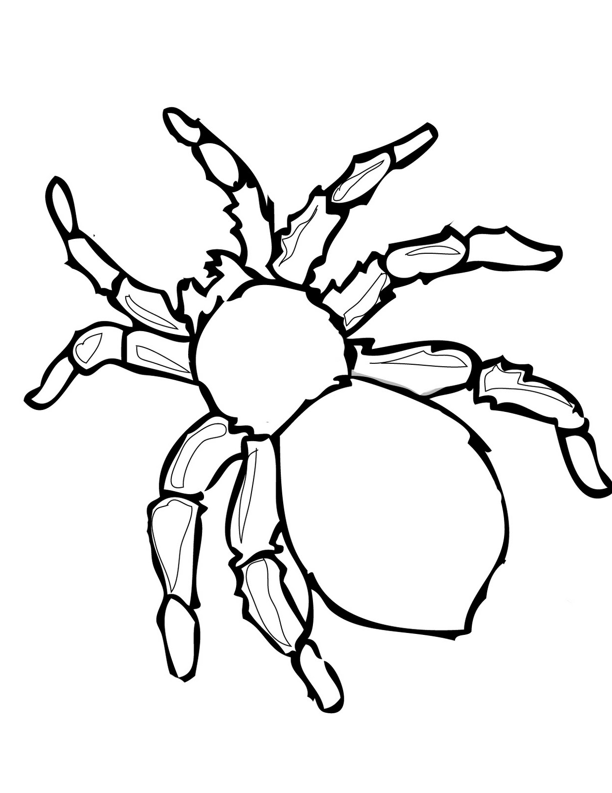 New Halloween Spider Coloring Pages for Kids