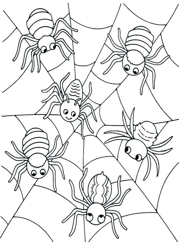 halloween-spider-coloring-page
