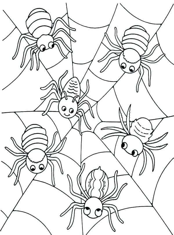 Halloween Spider Coloring Page