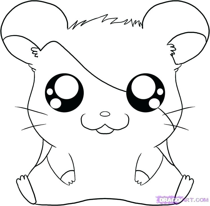 Hamster Coloring Pages at GetColorings.com | Free printable colorings