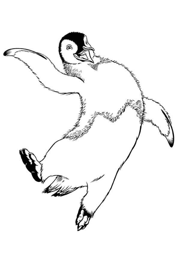 Happy Feet Coloring Pages at Free printable