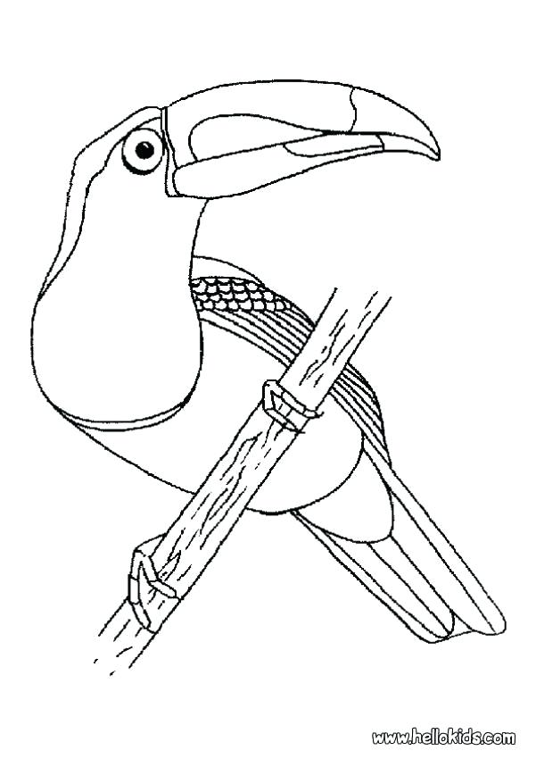 Hard Bird Coloring Pages at GetColorings.com | Free printable colorings