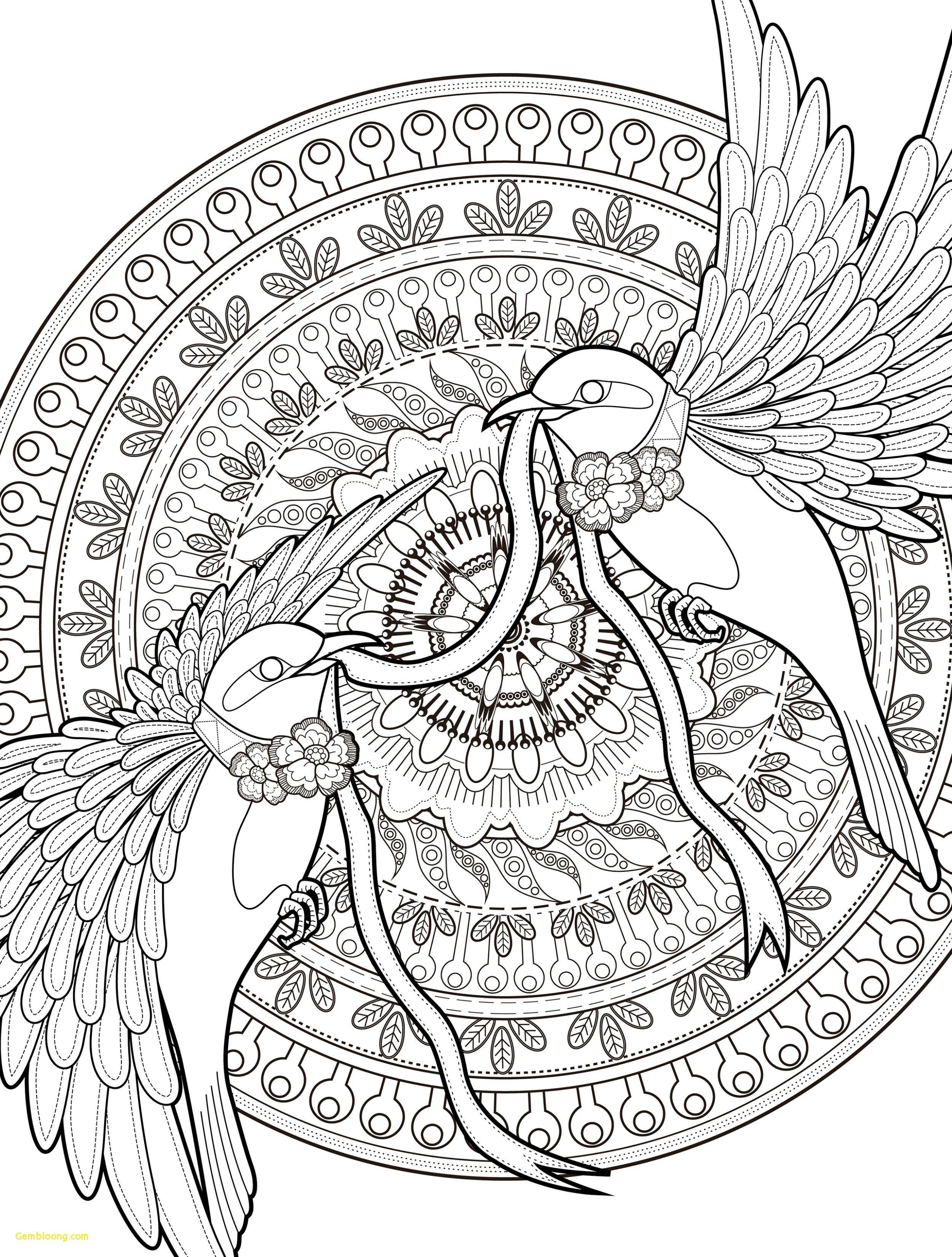 Hard Bird Coloring Pages at GetColorings.com | Free ...