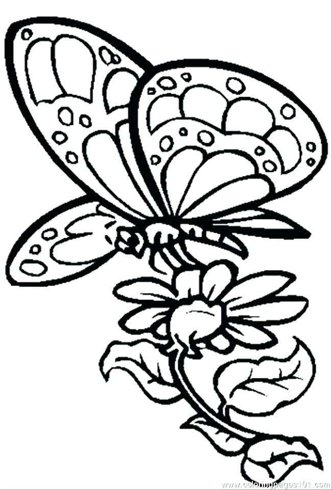Hard Butterfly Coloring Pages At GetColorings
