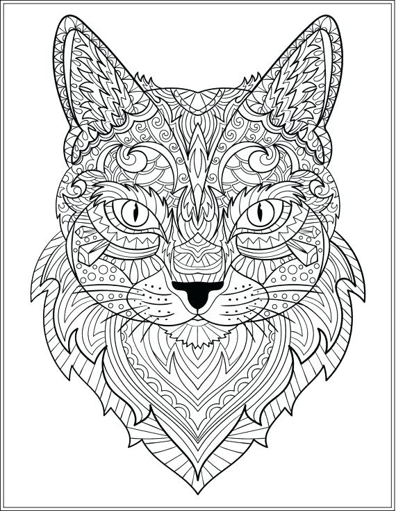 Hard Coloring Pages Of Cats : Pin on Kitty Cat Lovers - Cats are also