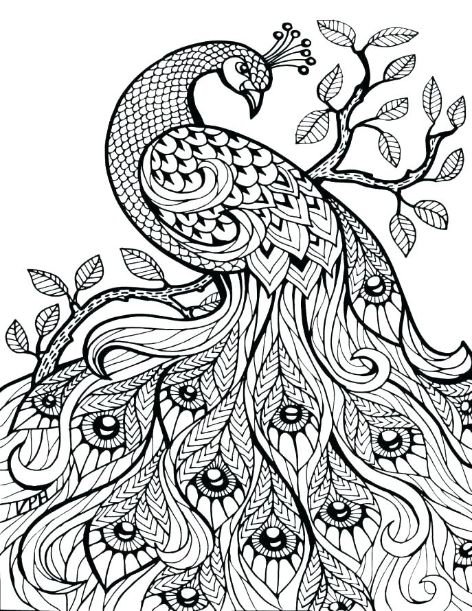 Hard Coloring Pages Of Animals at GetColorings.com | Free printable