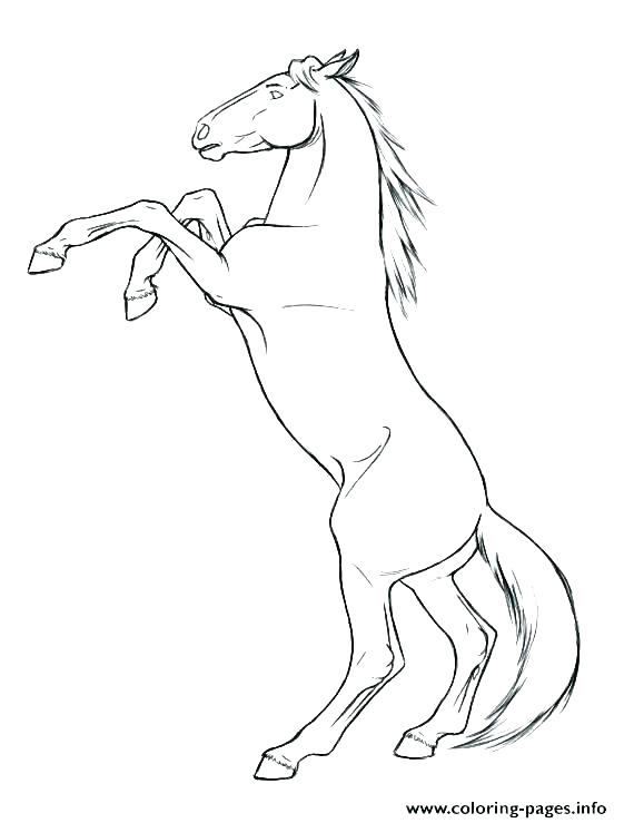 Hard Horse Coloring Pages at Free printable