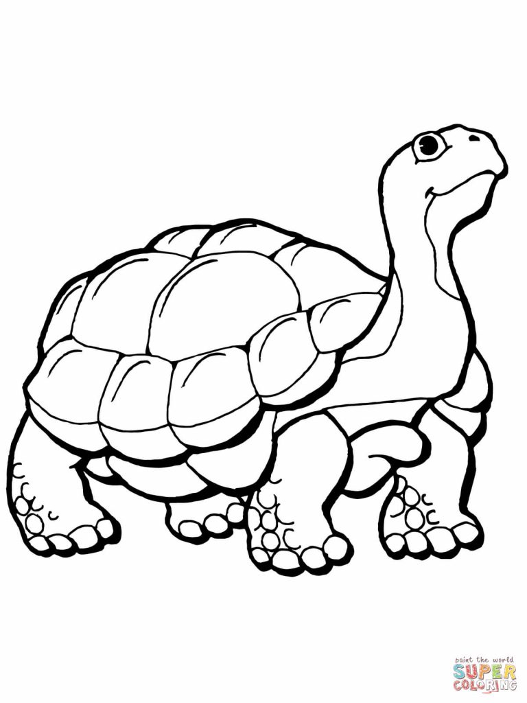 Hare Coloring Pages at GetColorings.com | Free printable colorings